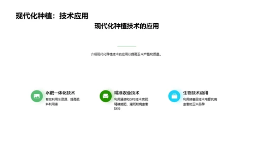 玉米种植新视角