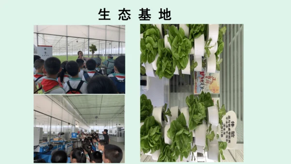 10.《我们所了解的环境污染》（第二课时）  课件