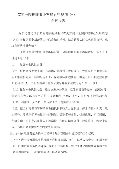 医院护理事业发展五年重点规划自评经典报告