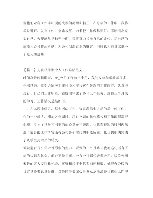 精编之试用期个人工作总结范文.docx