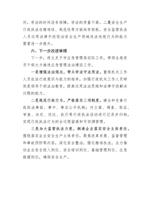【述法报告】市应急管理局党政主要负责人2022年度述法报告.docx