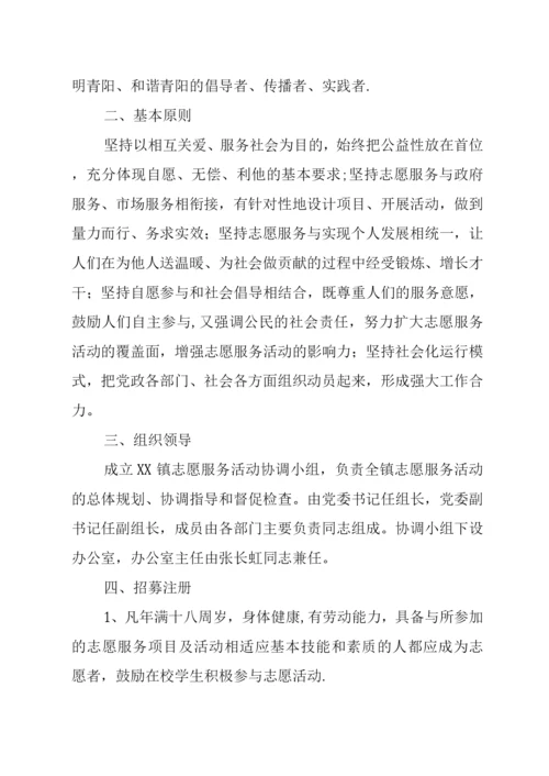 乡镇志愿服务活动方案.docx