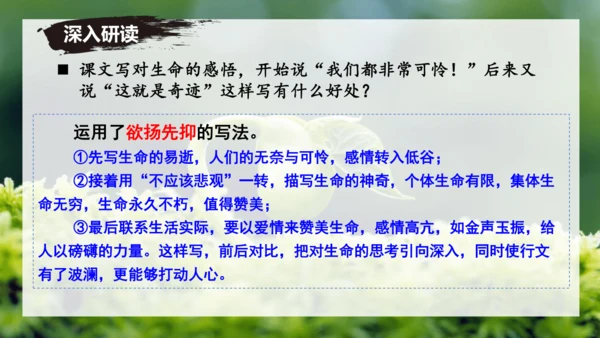 第16课 散文二篇 《永久的生命》课件