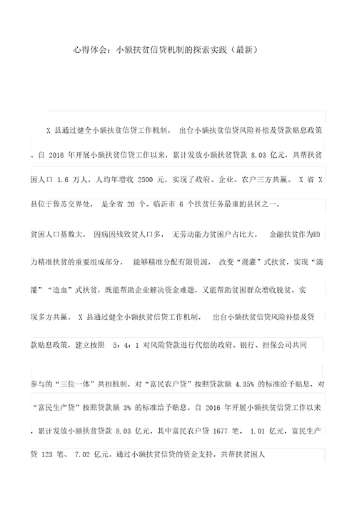 心得体会：小额扶贫信贷机制的探索实践最新