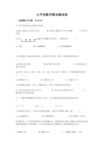 小升初数学期末测试卷精品【名师推荐】.docx