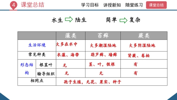 3.1.1 藻类、苔藓和蕨类植物课件 2023--2024学年人教版生物七年级上册(共26张PPT)