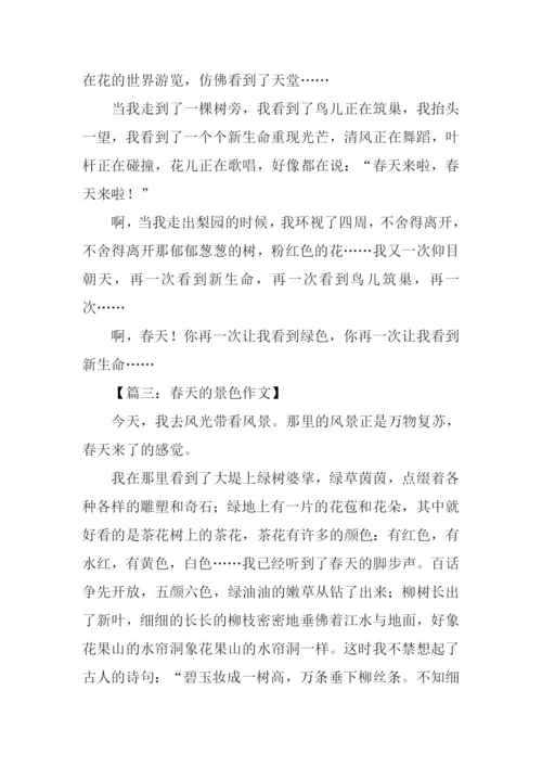 春天的景色作文350字-1.docx