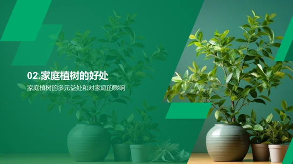 家庭植树，环保亲情双赢