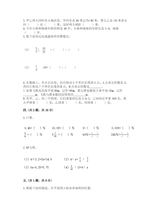 苏教版六年级数学小升初试卷及完整答案【有一套】.docx