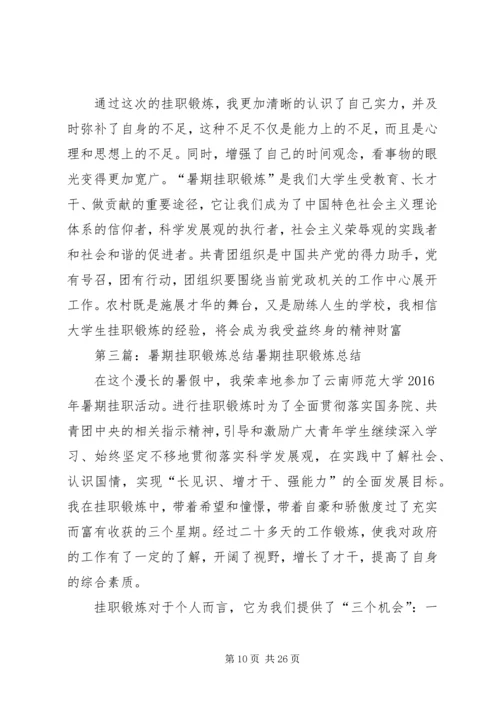 暑期挂职锻炼心得.docx