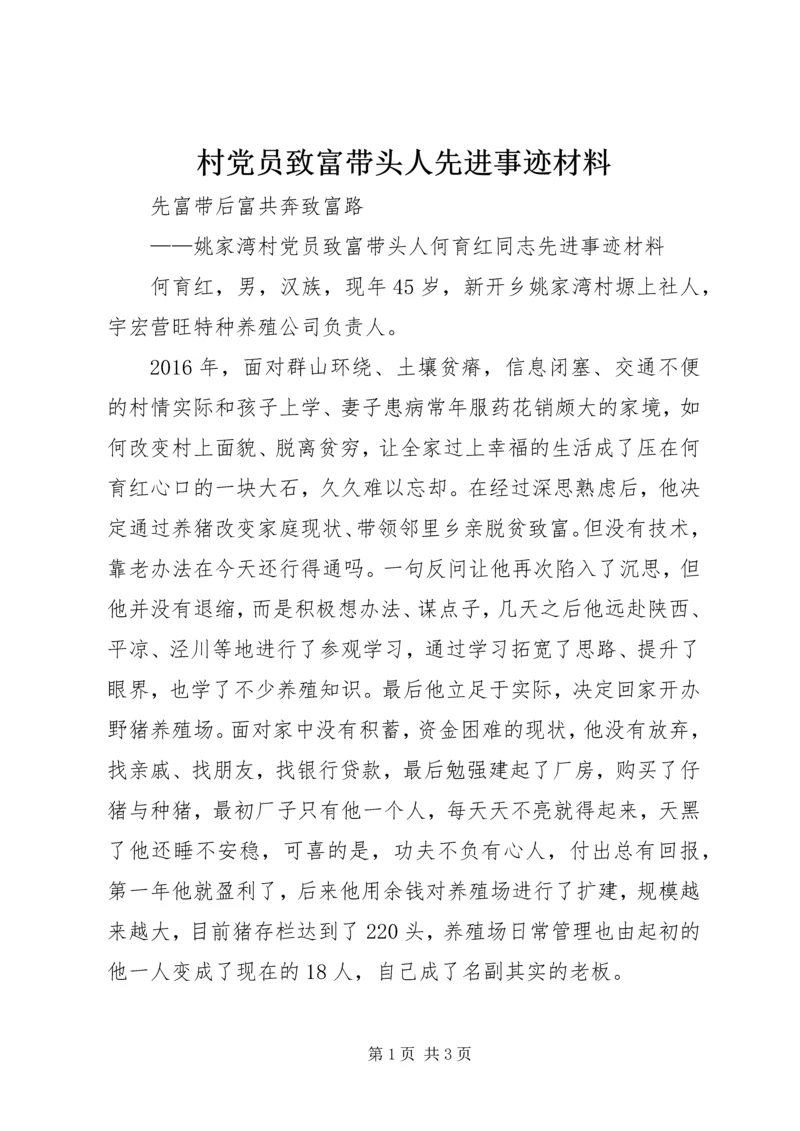 村党员致富带头人先进事迹材料 (2).docx