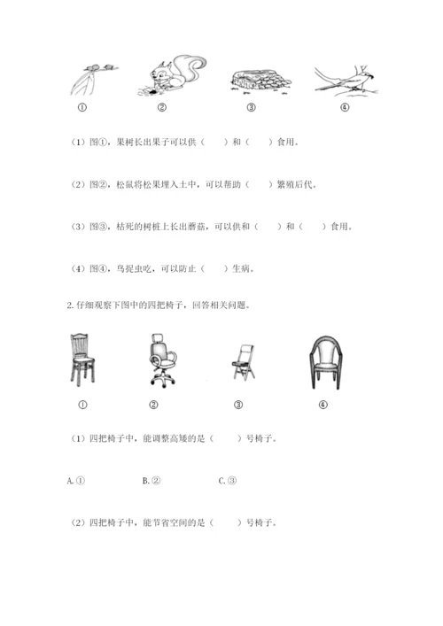 教科版小学二年级上册科学期末测试卷带答案（达标题）.docx