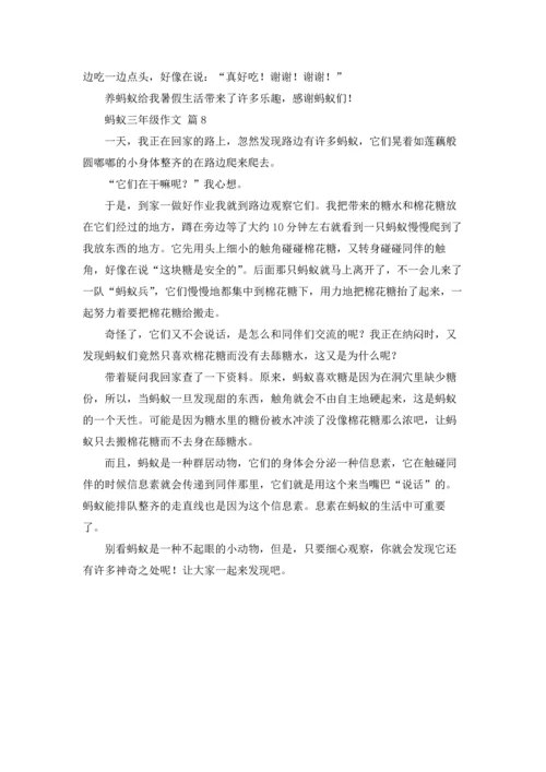 有关蚂蚁三年级作文锦集8篇.docx