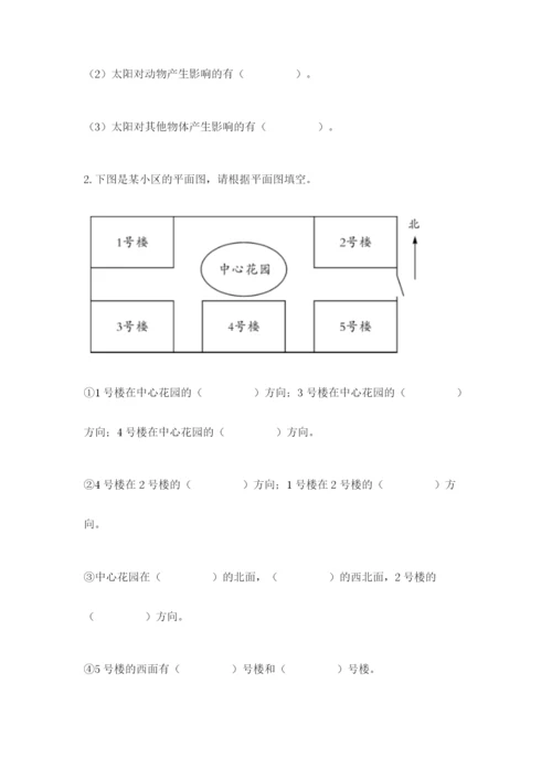 教科版小学二年级上册科学期末测试卷精编.docx