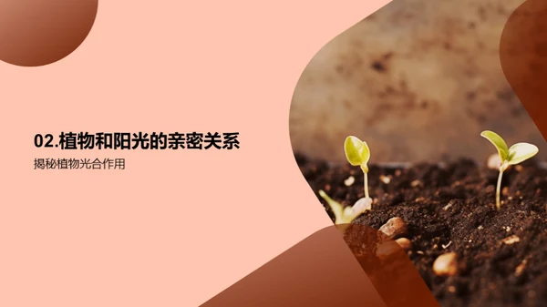 生命之源：探索植物世界