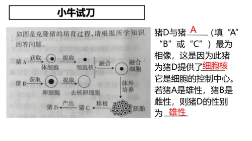 2.1.4细胞的生活课件2023--2024学年人教版生物七年级上册(共34张PPT)