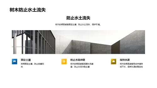 环保行动：共建绿色社区