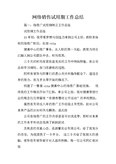 网络销售试用期工作总结