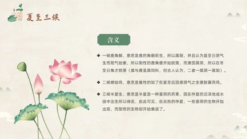 绿色淡雅中国风荷花荷叶中国二十四节气之夏至节气介绍PPT