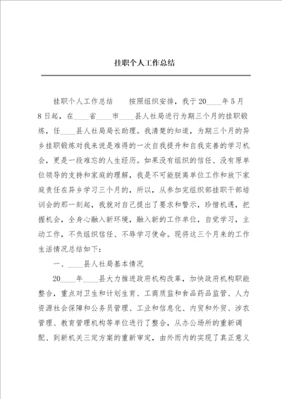 挂职个人工作总结