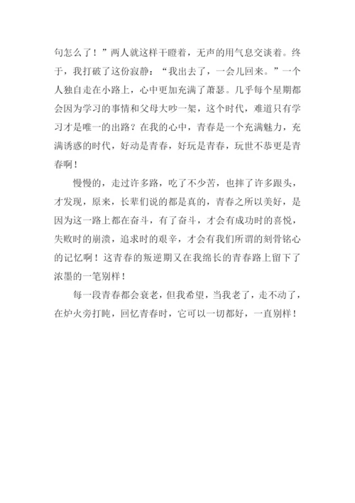 别样的青春路作文.docx