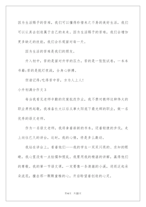 2022小升初满分作文(通用15篇).docx