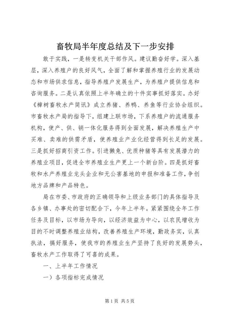 畜牧局半年度总结及下一步安排.docx