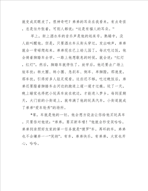 2023年度我弟弟小学二年级作文450字3篇