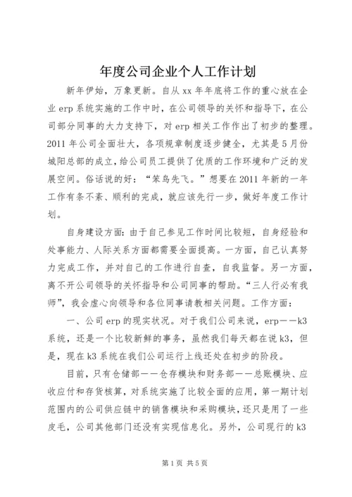 年度公司企业个人工作计划.docx
