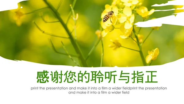 春天乡村旅游油菜花风景油菜花田PPT模板