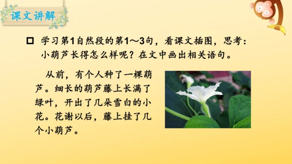 14 我要的是葫芦   课件