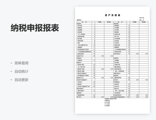 纳税申报报表