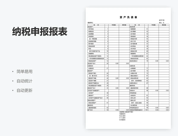纳税申报报表