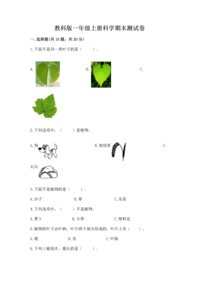 教科版一年级上册科学期末测试卷（黄金题型）.docx