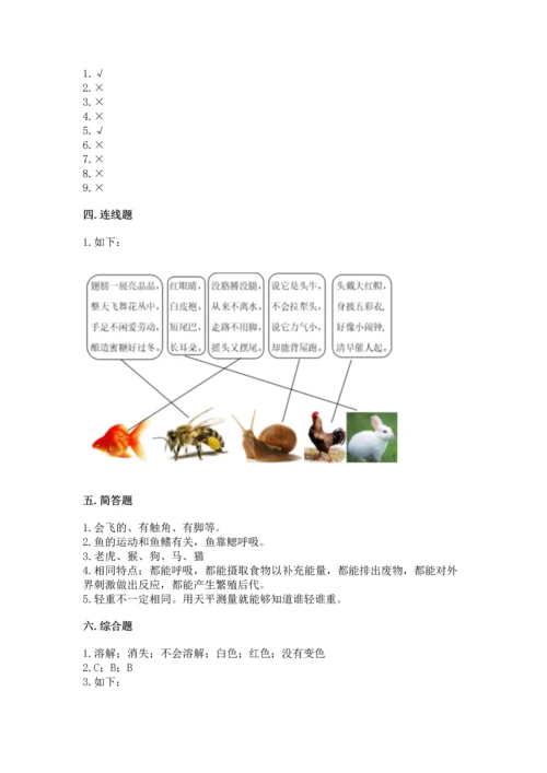 教科版一年级下册科学期末测试卷附答案【考试直接用】.docx