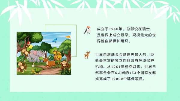 大熊猫国际野生动物保护日PPT模板