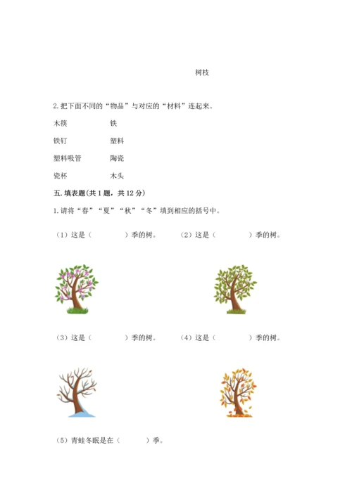 教科版科学二年级上册《期末测试卷》带答案下载.docx