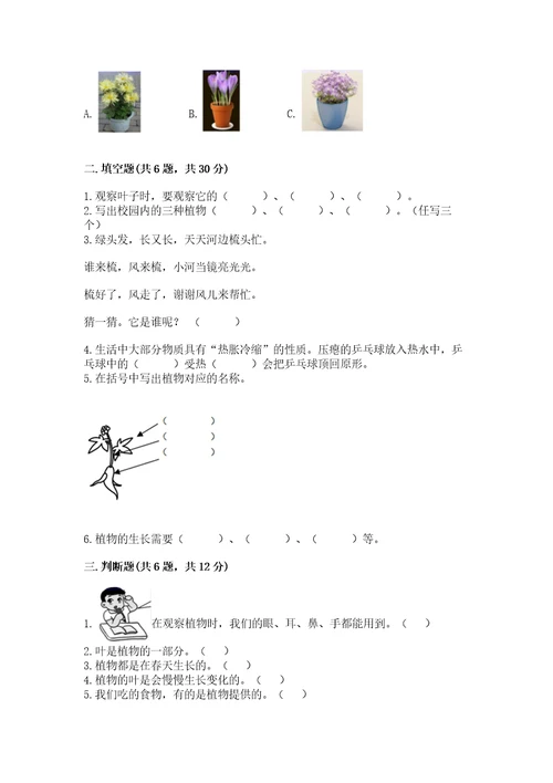 教科版科学一年级上册第一单元《植物》测试卷附完整答案（有一套）