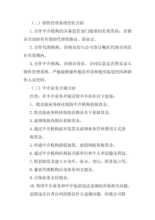 中介机构自查报告