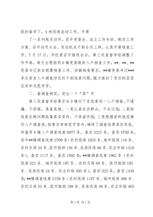 运用大数据开展惠民政策落实情况监督检查工作汇报.docx