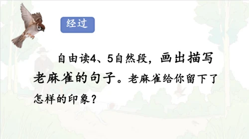 第16课《麻雀》课件