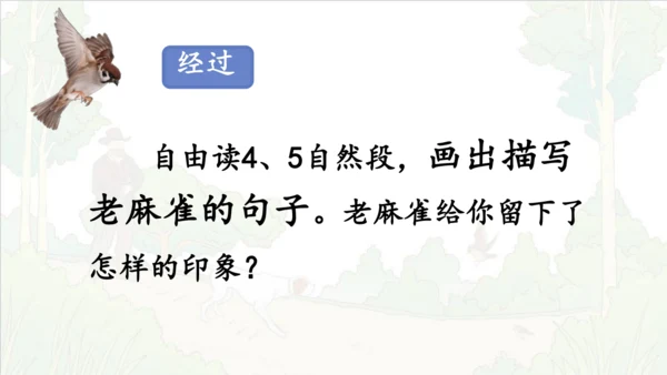 第16课《麻雀》课件
