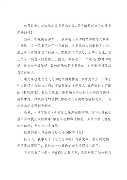 老人与海鸥读后心得600字