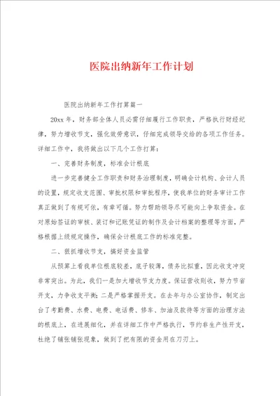 医院出纳新年工作计划