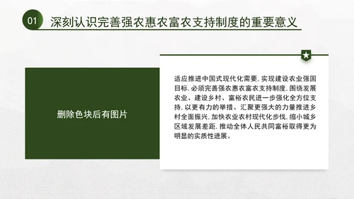 二十届三中全会关于完善强农惠农富农支持制度党课ppt