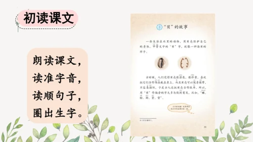 识字3 贝的故事（第一课时）课件