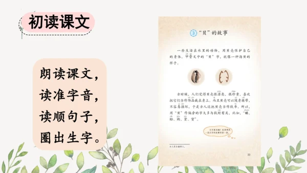 识字3 贝的故事（第一课时）课件