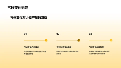 探索小麦产业投资奥秘