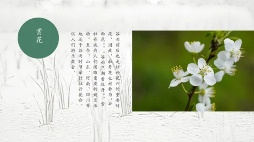 二十四节气谷雨通用PPT模板