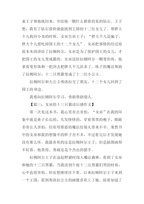 女巫的十三只猫读后感.docx